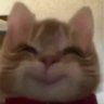 อะเฮเยชอบกินก๋วยเตี๋ยวเป็ด🦆's profile picture