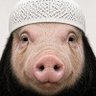 Muhammad 的头像