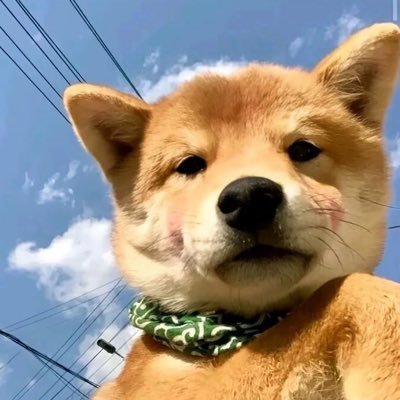 SpartXXXBB's profile picture