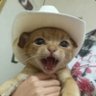 watch out :)'s profile picture