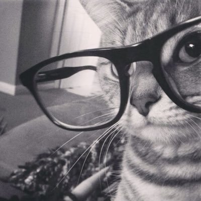 Hélène 🤍's profile picture