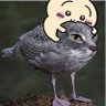 Sauce's profile picture