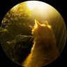 Profilbild von Mi