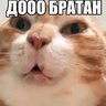 Ultrasecks profil fotoğrafı