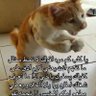 للمنايا رمحٍ وسهم profil fotoğrafı