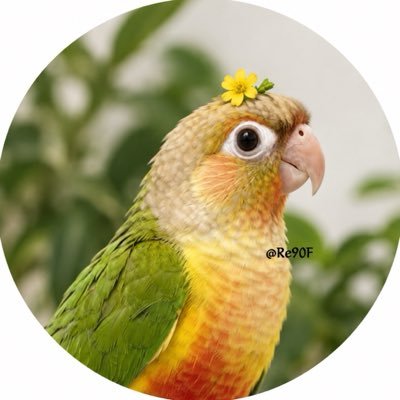 Reį⋆°✩'s profile picture