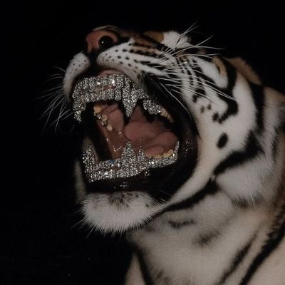 jimmyrowex's profile picture