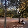 Rara profil fotoğrafı