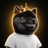 Profilbild von 金狗王中王
