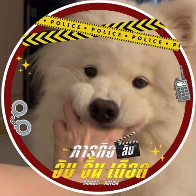 ㅡ พล.ต.อ.สว.ท้อเลย 🌊's profile picture