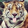 67's profile picture