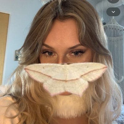 StrawHatYote's profile picture