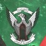 سيف النصر profil fotoğrafı