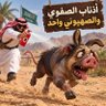 إرم✨ 的头像