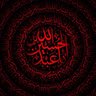 Profilbild von 🟥☫🟩VEINARD2🎒🇱🇧🇵🇸