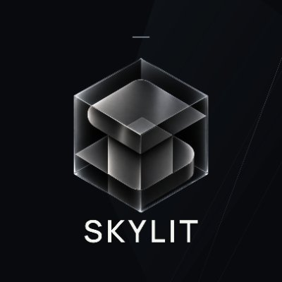SkylitAI's profile picture