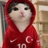 Фото профиля Beşiktaşlı Kedi