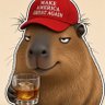 Rebel Capybara 的头像