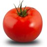 Bigoted Tomato profil fotoğrafı