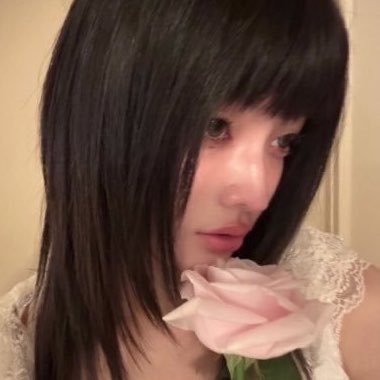 irohatartaruga's profile picture