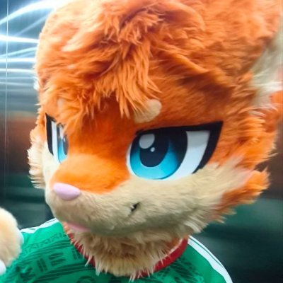 PatitasVelocez's profile picture