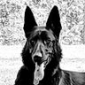 Incognito's profile picture