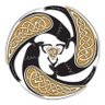 Diúc's profile picture