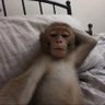 JIMMY 😉✨ profil fotoğrafı