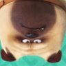 Profilbild von 唐纳德 特靠谱