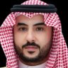 محمد ماجد's profile picture