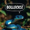 Blue Snake 的头像