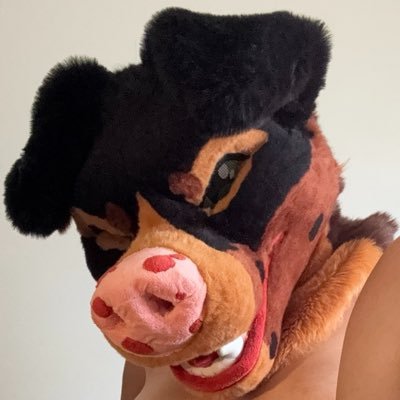 Lucky_Puppyy's profile picture