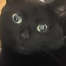 Fudge's profile picture