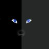 👔ᒻᵒ͢˅ᵊ♪ɹ̤ċᒪЬ's profile picture