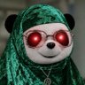 Organizermemes profil fotoğrafı
