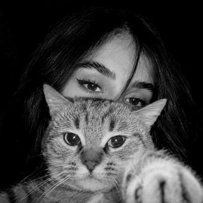 ᥫ᭡'s profile picture