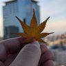 Profilbild von Drugzino