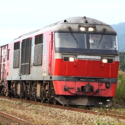Df200Eh800's profile picture