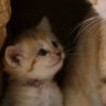 * profil fotoğrafı