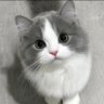 🌺😊🌸 profil fotoğrafı