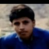 متميز الناخبي @'s profile picture