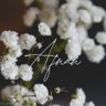 Фото профиля أَفنَان الوَرْد