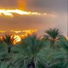 غازي الصبحي 的头像