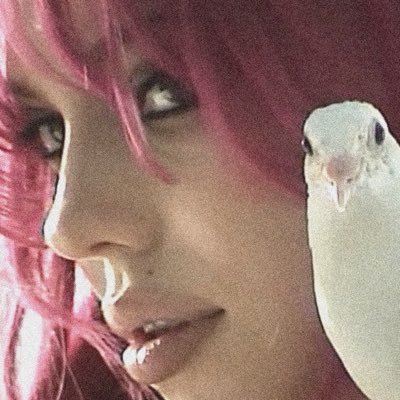 haumcel's profile picture