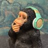 Фото профиля Recomendo músicas pq eu gosto