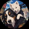 kisisi｜Kyoto dogs profil fotoğrafı