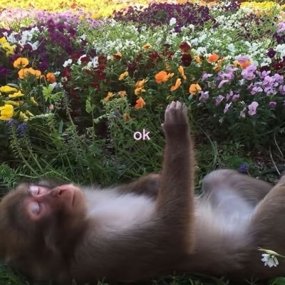 أعنتعن's profile picture