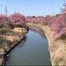 ドラリューキ 的头像
