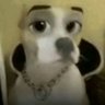 feli's profile picture