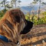 Nam profil fotoğrafı